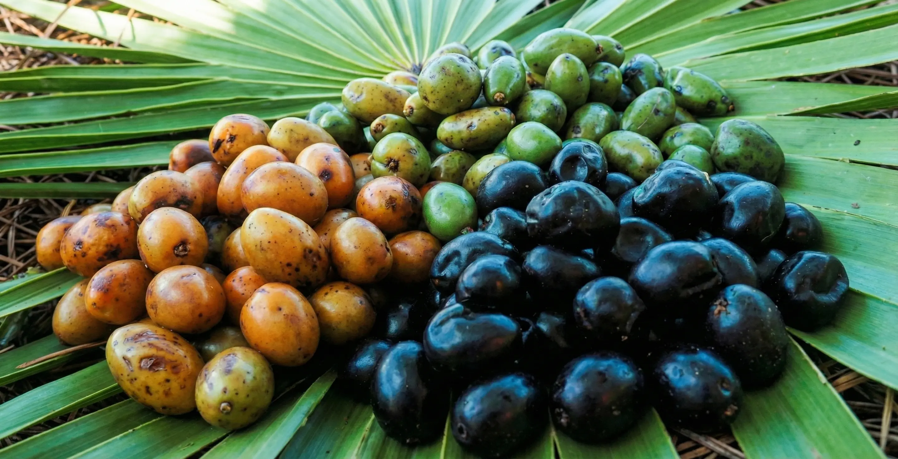 Science card for 根源防線